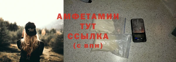дживик Бронницы
