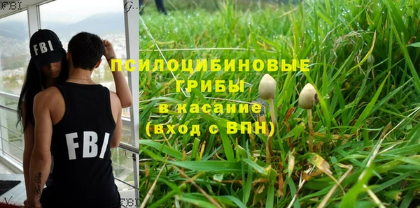 a pvp Бородино