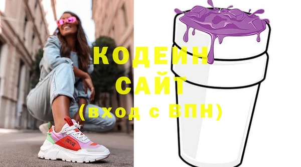 дживик Бронницы