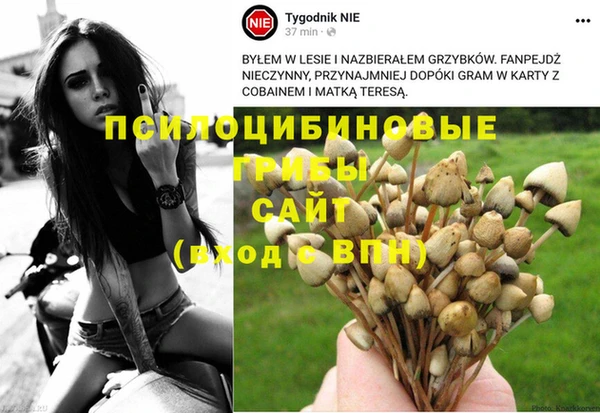 дживик Бронницы