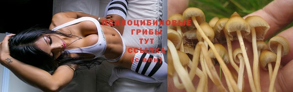 дживик Бронницы
