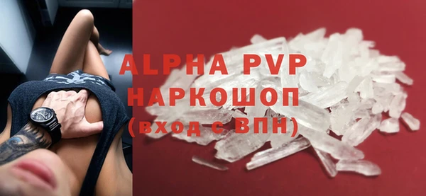 a pvp Бородино