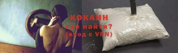 дживик Бронницы