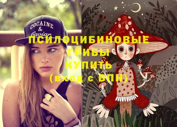 дживик Бронницы