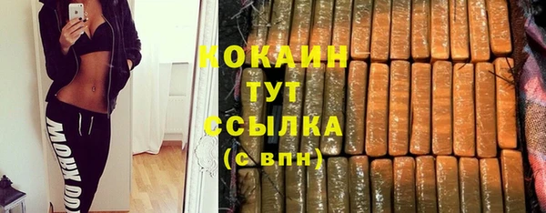 дживик Бронницы