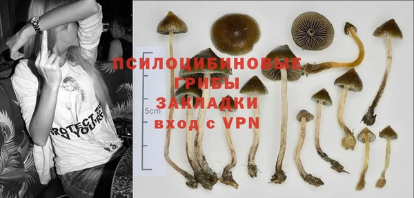 a pvp Бородино