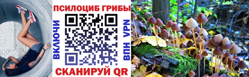Купить закладки  Нижняя Салда  Псилоцибиновые грибы мицелий 